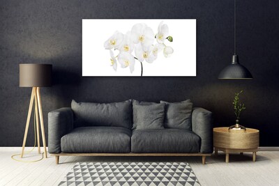 Plexisklo-obraz Bílá Orchidej Květiny