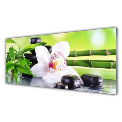 Plexisklo-obraz Orchidej Kameny Zen Bambus