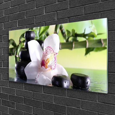 Plexisklo-obraz Orchidej Kameny Bambus