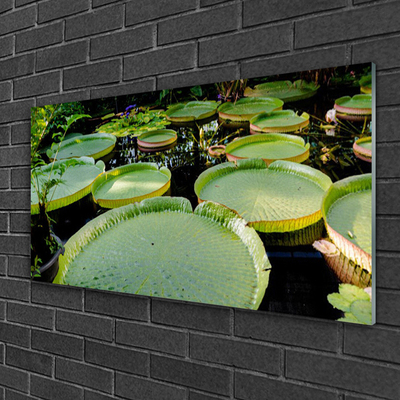 Plexisklo-obraz Listy Jezero Příroda