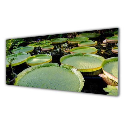 Plexisklo-obraz Listy Jezero Příroda