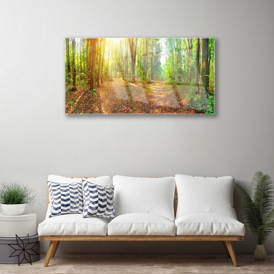 Plexisklo-obraz Slunce Příroda Lesní Stezka
