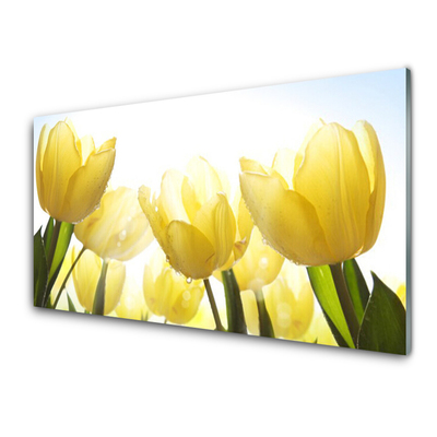 Plexisklo-obraz Tulipány Květiny Paprsky
