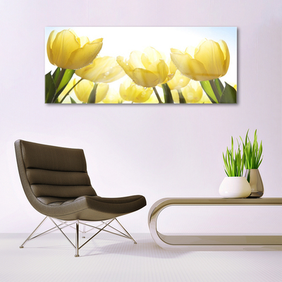 Plexisklo-obraz Tulipány Květiny Paprsky