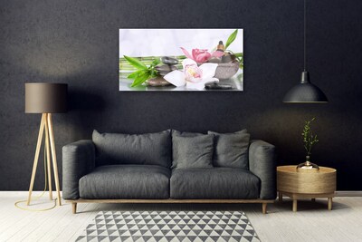 Plexisklo-obraz Orchidej Kameny Bambus