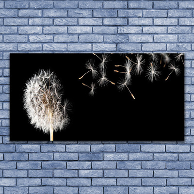 Plexisklo-obraz Pampeliška Květ Kapky
