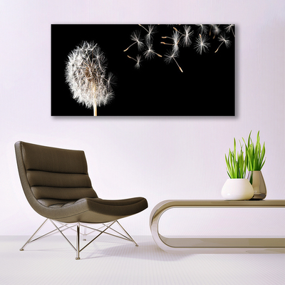 Plexisklo-obraz Pampeliška Květ Kapky
