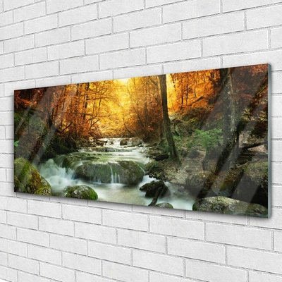 Plexisklo-obraz Vodopád Příroda Les Podzim