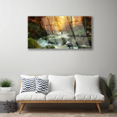 Plexisklo-obraz Vodopád Příroda Les Podzim