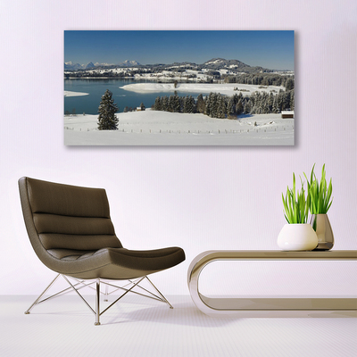 Plexisklo-obraz Jezero Sníh Krajina Hory