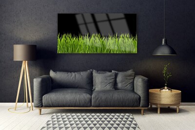 Plexisklo-obraz Zelená Tráva Příroda
