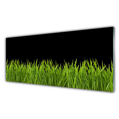 Plexisklo-obraz Zelená Tráva Příroda