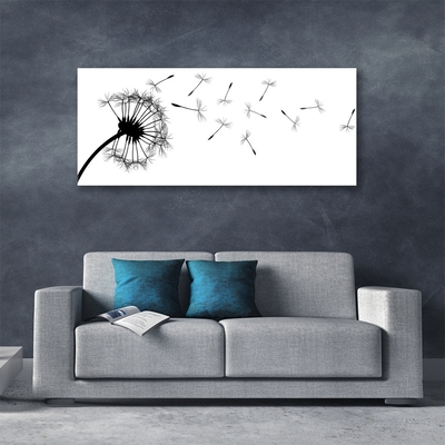 Plexisklo-obraz Pampeliška Květ