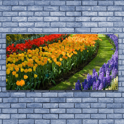 Plexisklo-obraz Květiny Zahrada Tulipány