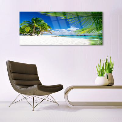 Plexisklo-obraz Tropická Pláž Moře Výhled