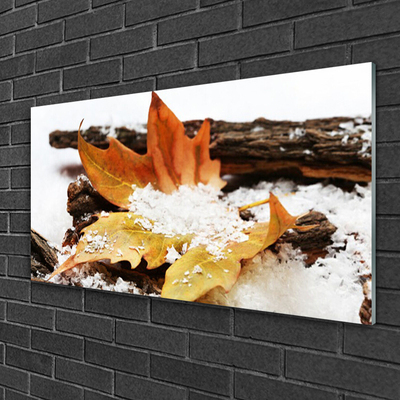 Plexisklo-obraz List Les Podzim Příroda