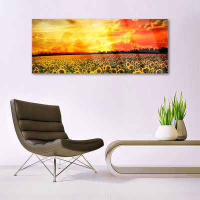 Plexisklo-obraz Louka Slunečnice Květiny