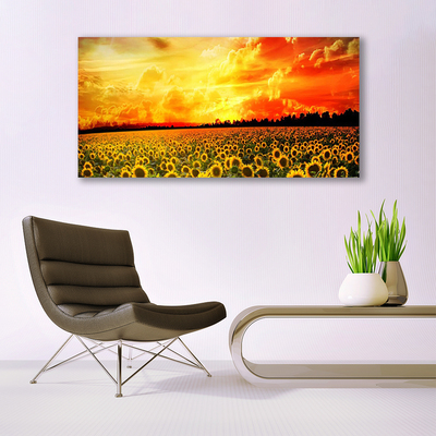Plexisklo-obraz Louka Slunečnice Květiny