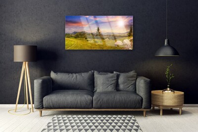 Plexisklo-obraz Hory Louka Kameny Příroda