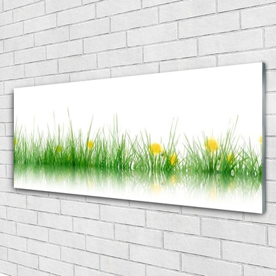 Plexisklo-obraz Příroda Tráva Květiny
