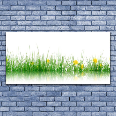 Plexisklo-obraz Příroda Tráva Květiny