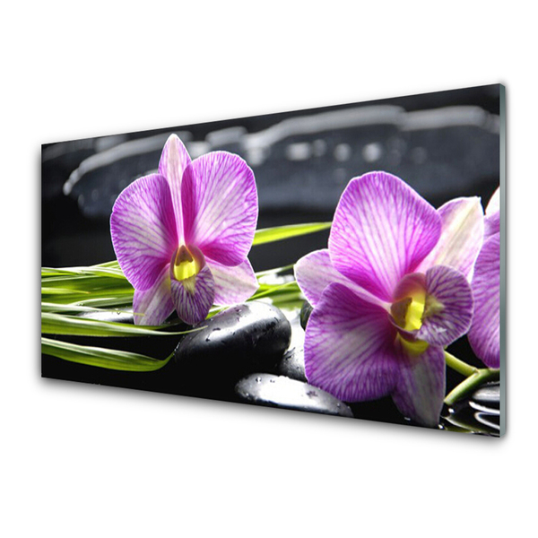 Plexisklo-obraz Orchidej Kameny Zen Lázně
