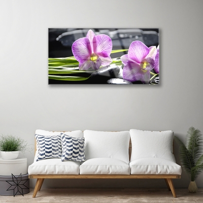 Plexisklo-obraz Orchidej Kameny Zen Lázně