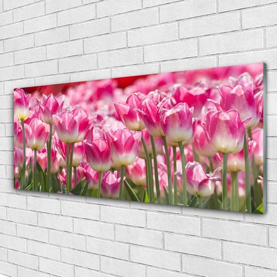 Plexisklo-obraz Tulipány Květiny Příroda