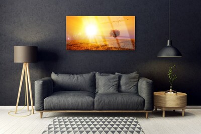 Plexisklo-obraz Západ Slunce Louka Plátky