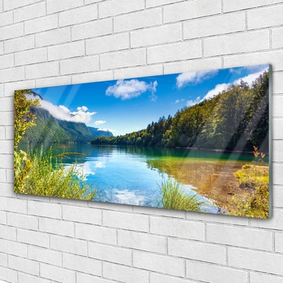 Plexisklo-obraz Hory Les Příroda Jezero