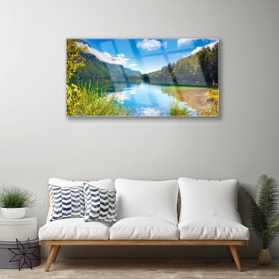 Plexisklo-obraz Hory Les Příroda Jezero