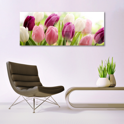 Plexisklo-obraz Tulipány Květiny Příroda Louka
