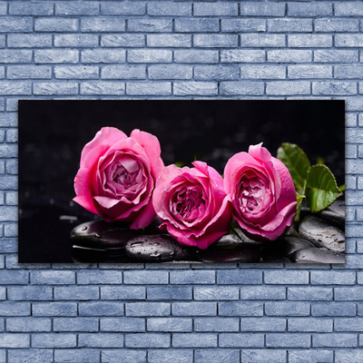 Plexisklo-obraz Růže Kameny Zen Lázně Příroda