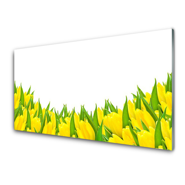 Plexisklo-obraz Květiny Příroda Tulipány
