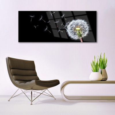 Plexisklo-obraz Pampelišky Květiny Příroda