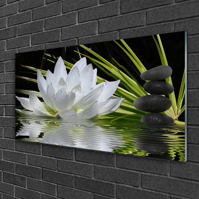 Plexisklo-obraz Květiny Kameny Zen Voda