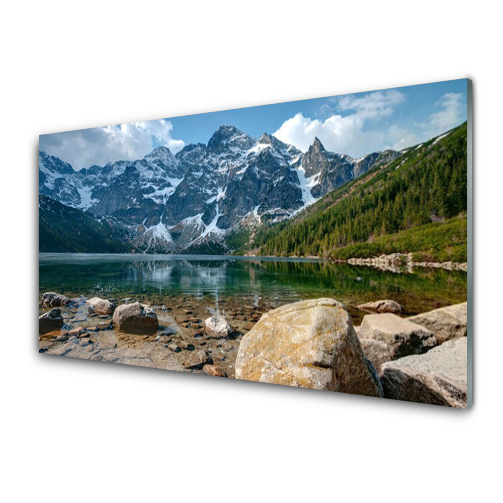 Akrylové obraz Hory Les Jezero Kameny