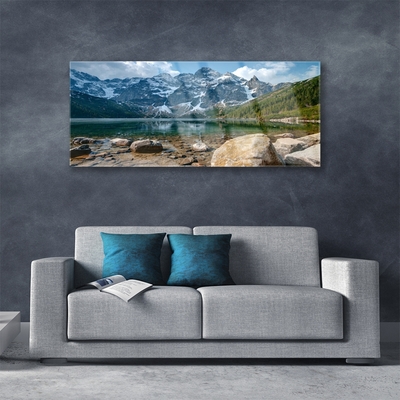 Plexisklo-obraz Hory Les Jezero Kameny
