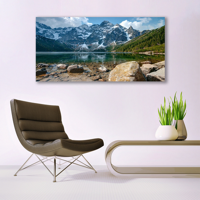 Plexisklo-obraz Hory Les Jezero Kameny