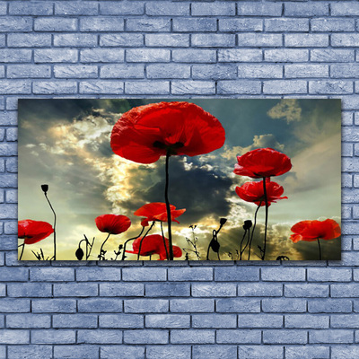 Plexisklo-obraz Máky Květiny Příroda