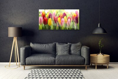 Plexisklo-obraz Tulipány Květiny Příroda