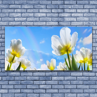 Plexisklo-obraz Rostliny Květiny Tulipány