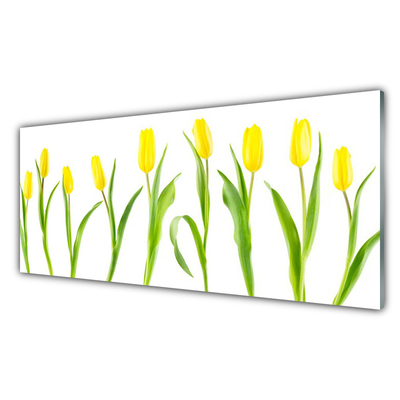 Plexisklo-obraz Žluté Tulipány Květiny
