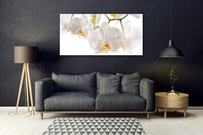 Plexisklo-obraz Orchidej Květiny Příroda