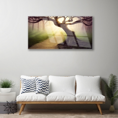 Plexisklo-obraz Strom Paprsky Slunce
