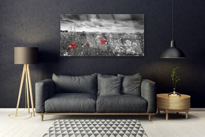 Plexisklo-obraz Louka Květiny Krajina