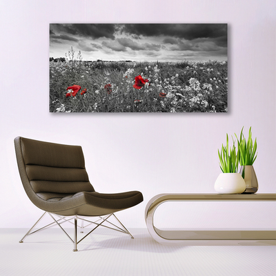 Plexisklo-obraz Louka Květiny Krajina