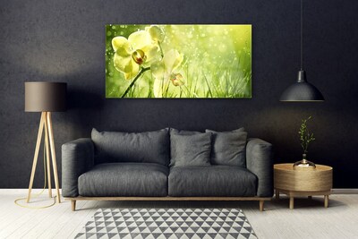 Plexisklo-obraz Tráva Příroda Rostlina