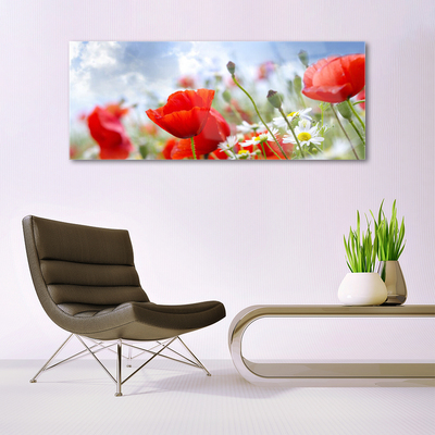 Plexisklo-obraz Máky Sedmikrásky Květiny