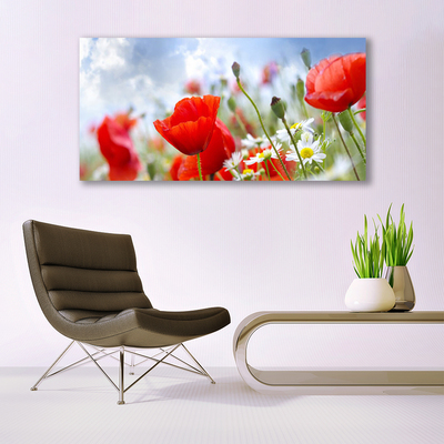 Plexisklo-obraz Máky Sedmikrásky Květiny